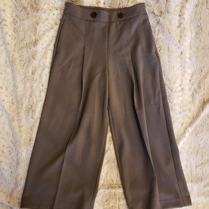 Ann Taylor Pants